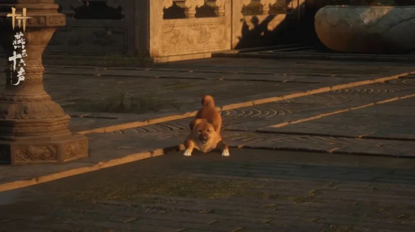 国足双星发,挥失常,伊万拒弃塞,雪缘园即时比分网,体育赛事数据,赛事比分信息,体育赛事平台,赛事中心