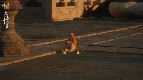 国足双星发挥失常，伊万拒弃塞尔吉尼奥遭球迷诟病