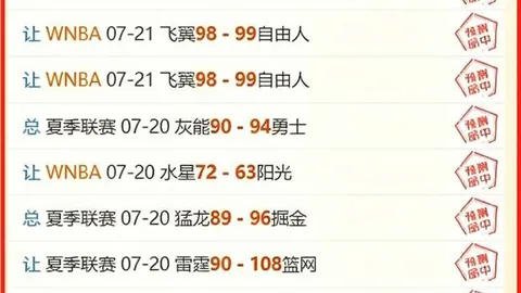 2026赛季梅特兰主场分析：近期13场胜率高达65，不容错过的强队对决